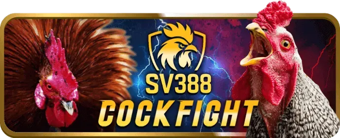Các loại hình đá gà